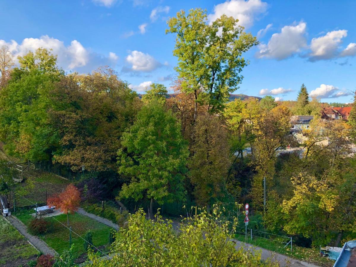 Ferienwohnung im Grünen auf idyllisch gelegenen Gutshof und doch so zentral Waldshut-Tiengen Exterior foto